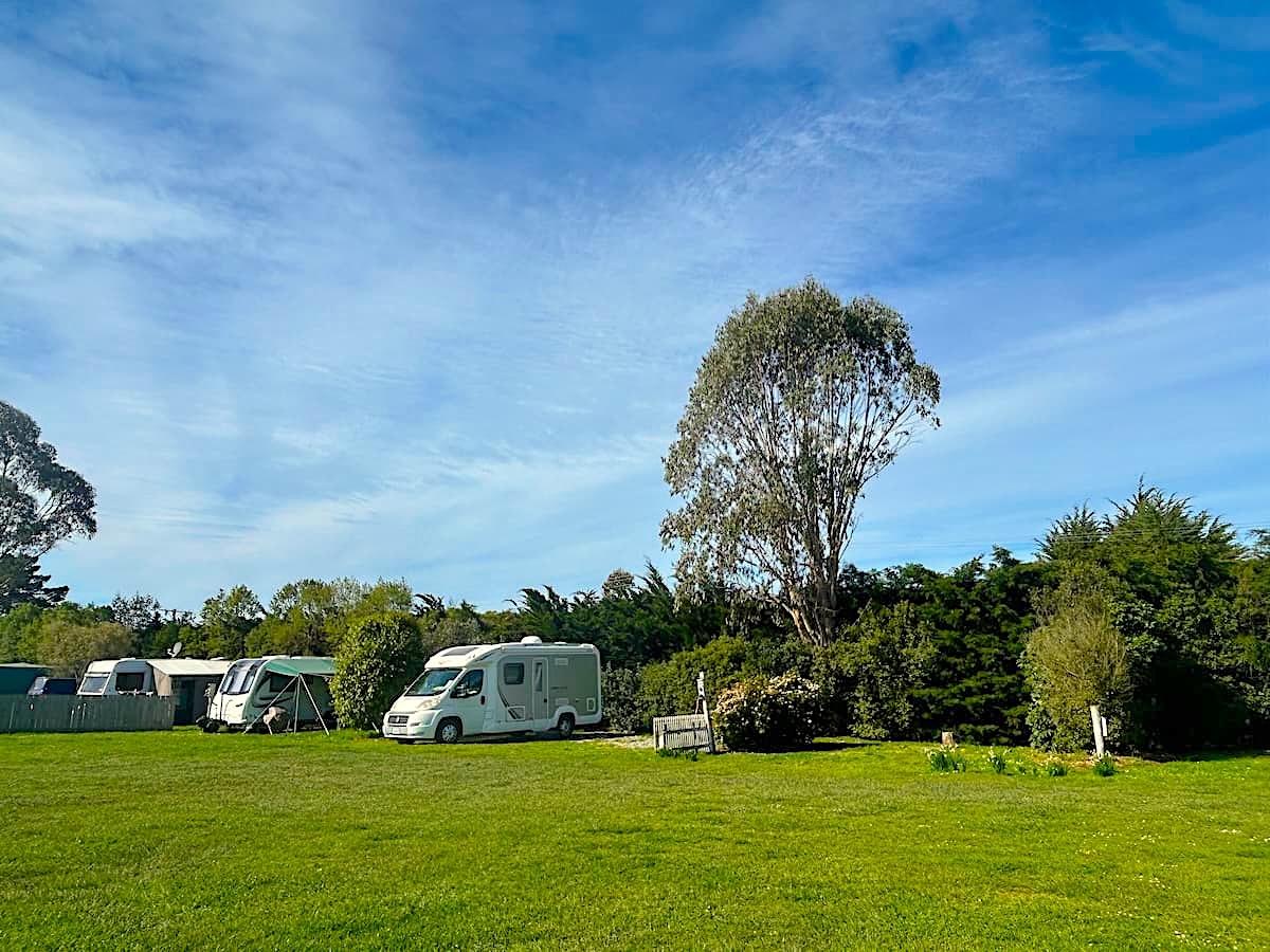 Aerial view of camping ground with powered sites